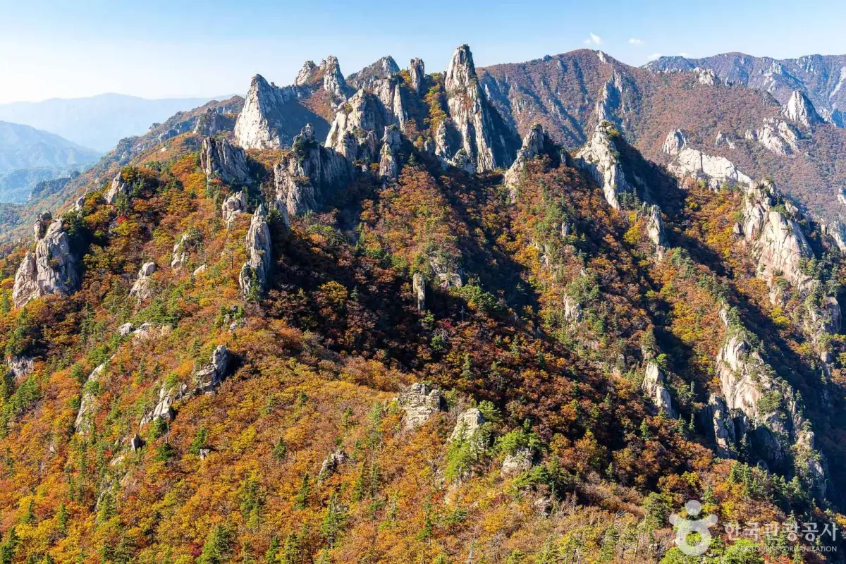 설악산 단풍