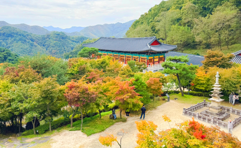 충주 석종사