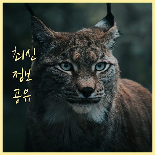 고지혈증 약, 꼭 먹어야 할까? 부작