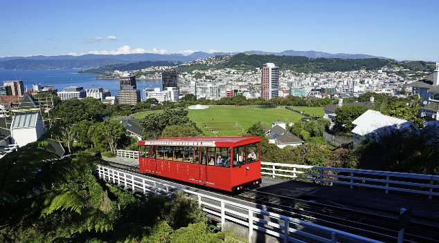 나라별 국제운전면허증 인정 여부 총정리 (2024년 최신 업데이트)