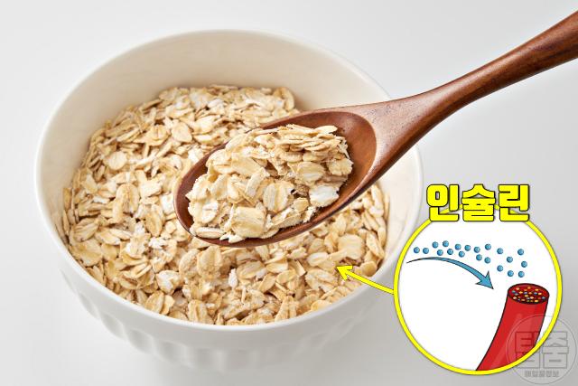 중년뱃살 빼기 음식 추천 오트밀