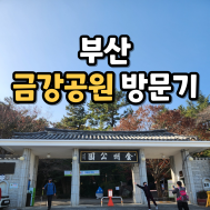 썸네일 입니다.