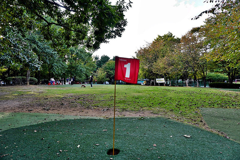 경기도 고양시 화정파크골프장 (화정 은빛공원 파크골프장)