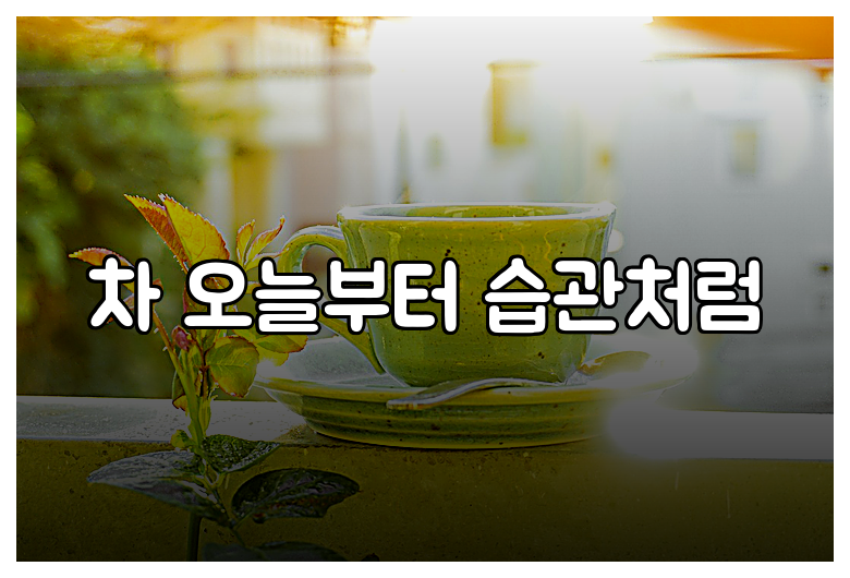 차 오늘부터 습관처럼