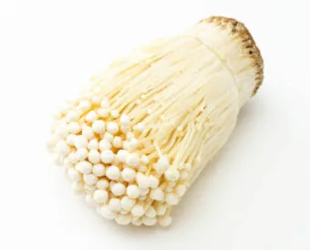 팽이버섯 효능_2