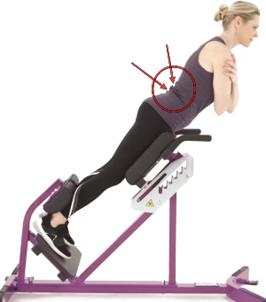 백익스텐션-운동