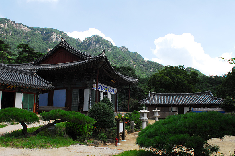 창녕 낙동강 유채꽃 축제 