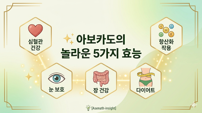 아보카도의 놀라운 5가지 효능