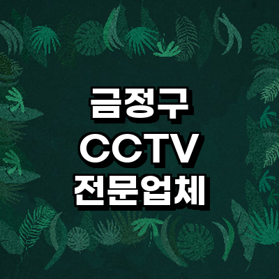 부산 금정구 cctv