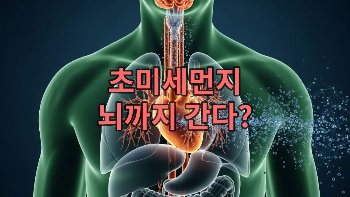 초미세먼지가 폐를 넘어 혈관을 타고 뇌 등 주요 장기로 침투하는 모습을 형상화한 이미지