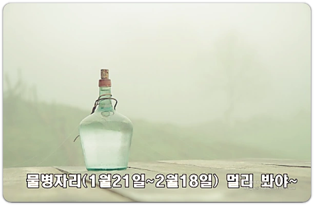 물병자리