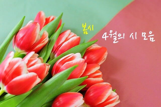 ' 4월의 시 모음' 섬네일 이미지