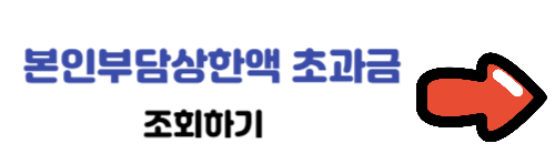 본인부담상한액 초과금-조회