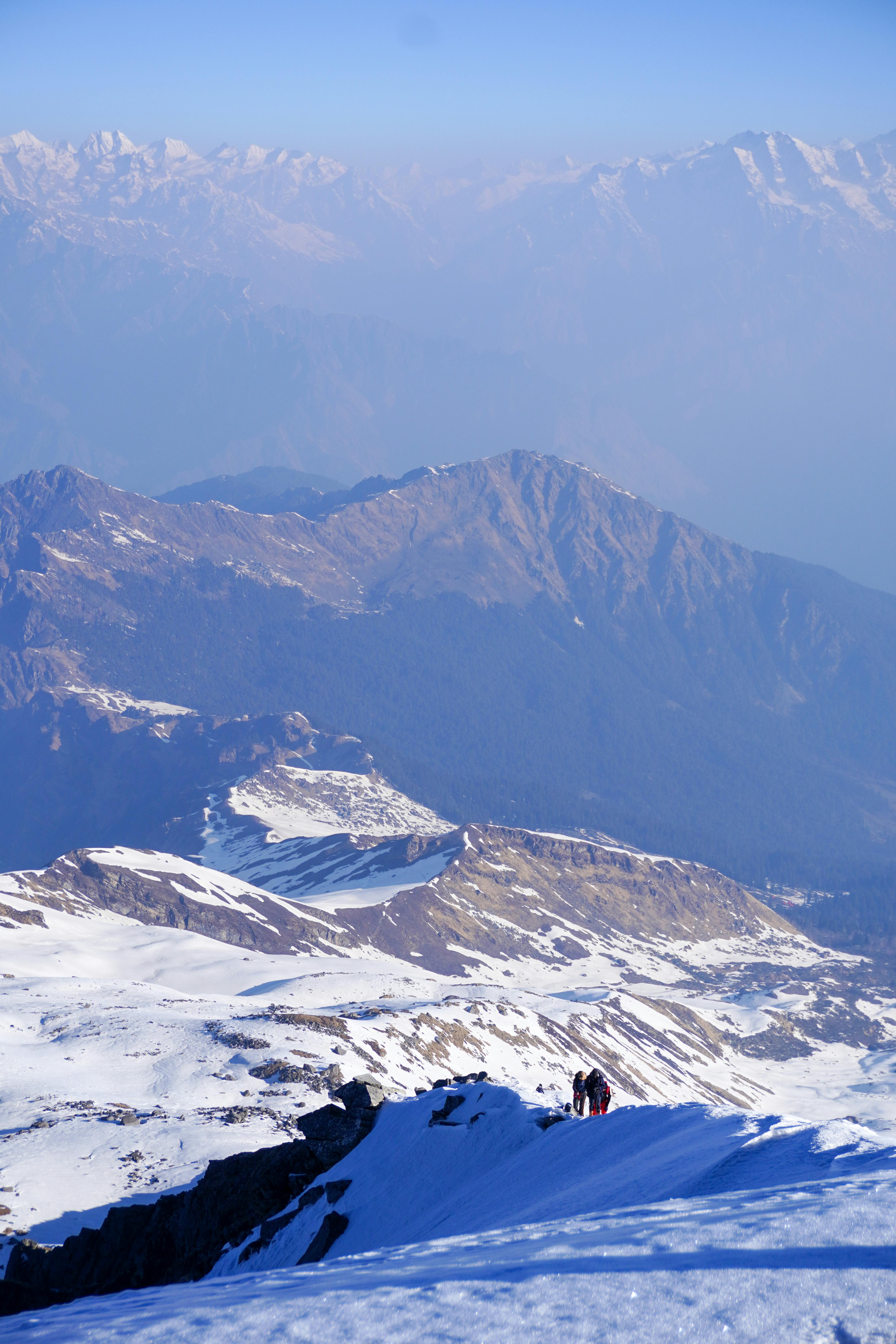 태어난 김에 시즌4