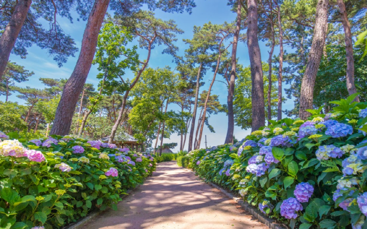 서산 모월힐링숲