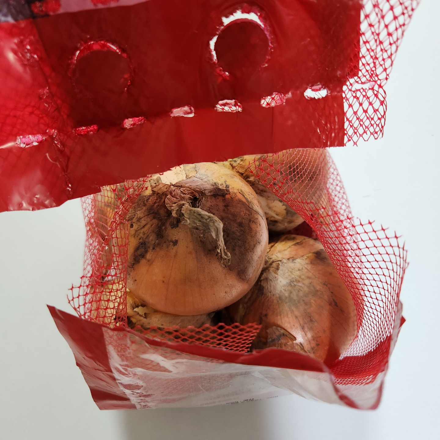 양파껍질이 깨끗한지 확인하기