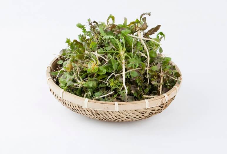 봄 제철음식 종류와 효능