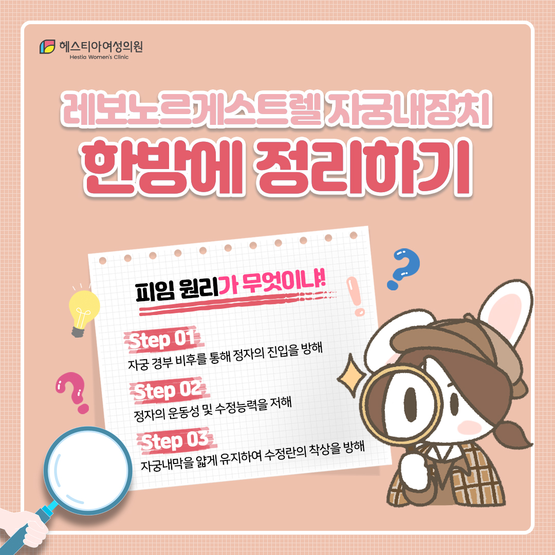 레보노르게스트렐자궁내장치정리