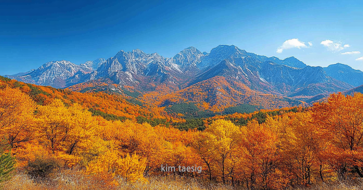 관악산의 사계절