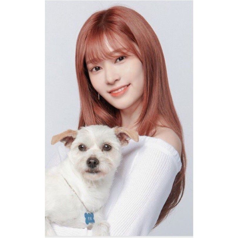 아이즈원 김민주 최애사진