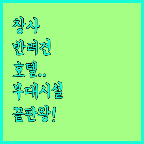 반려동물 동반 가능한 창사 숙소와 부..