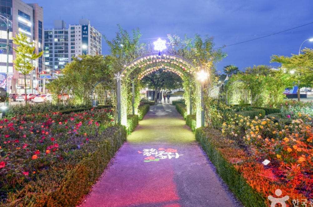 포항 영일대 장미원 장미터널 사진