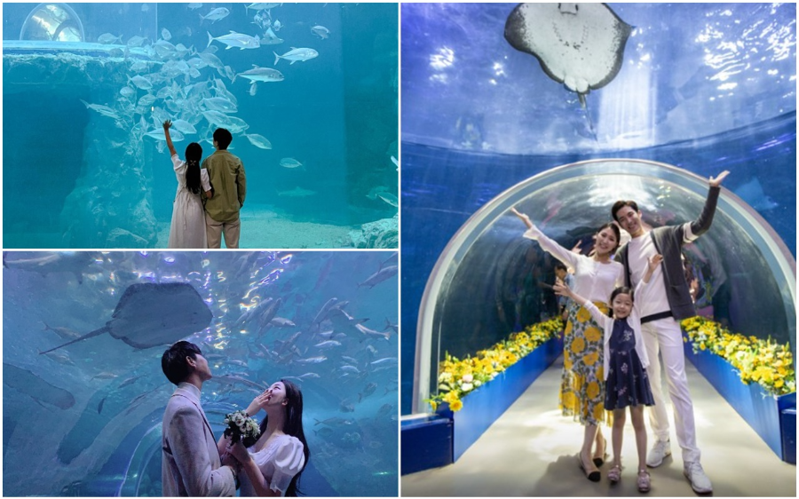 여수-가볼만한곳-베스트10-아쿠아플라넷