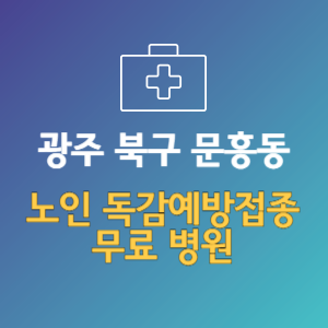 광주 북구 문흥동 노인 독감예방접종 무료 병원 (인플루엔자 무료 접종 대상 날짜)