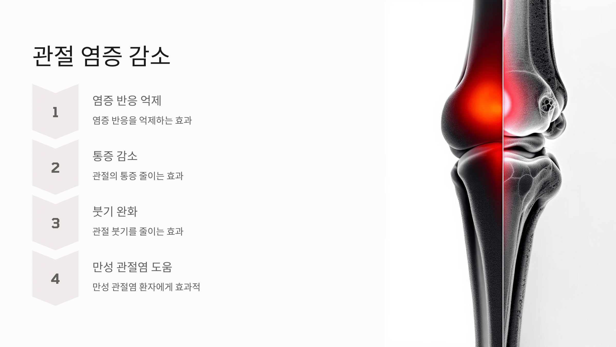 글루코사민과 관련된 사진입니다.