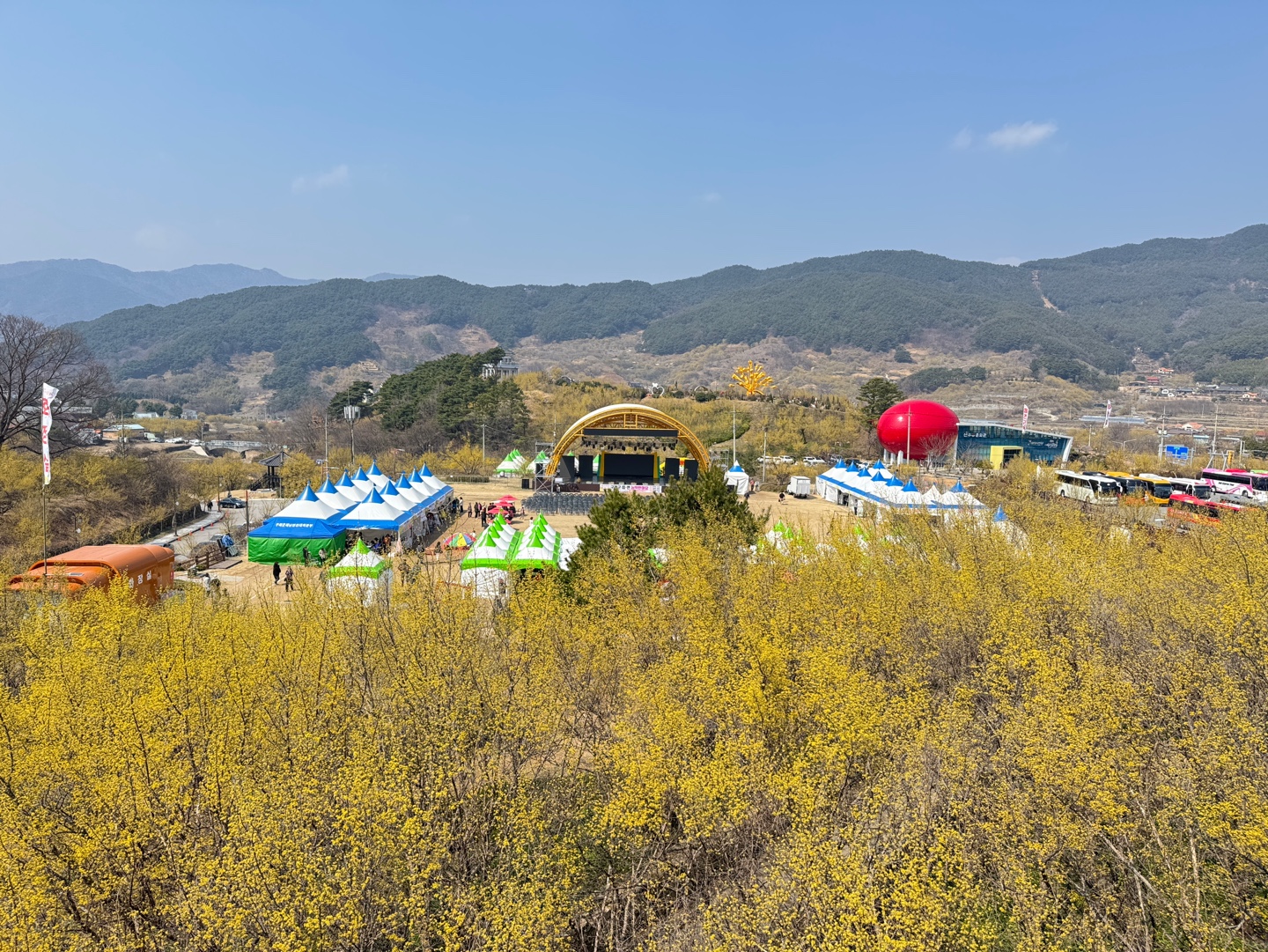 구례산수유축제