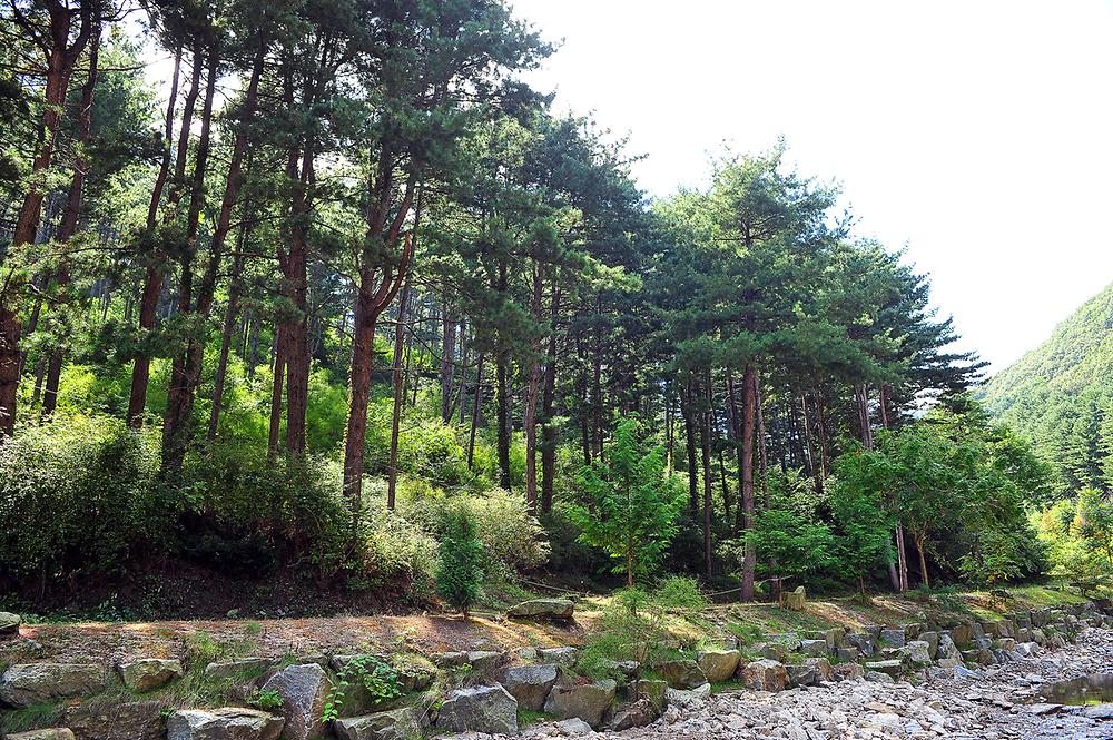 포천 포시즌스 오토캠핑장 소개