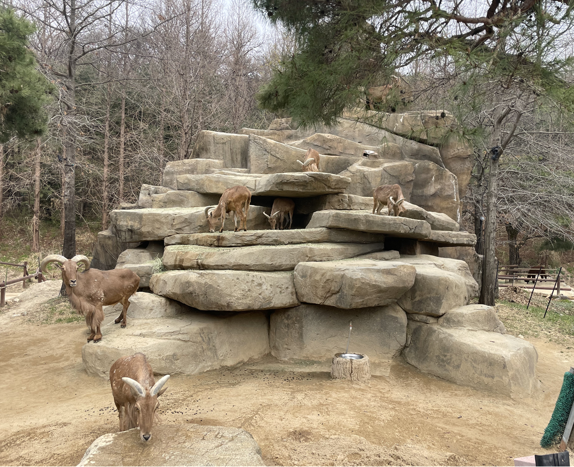 에버랜드 로스트밸리