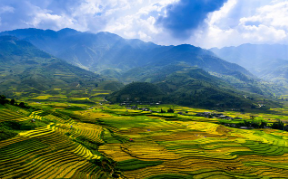 조선 후기에도 부동산 투기가? 양반부터 백성까지 땅에 몰두한 이유