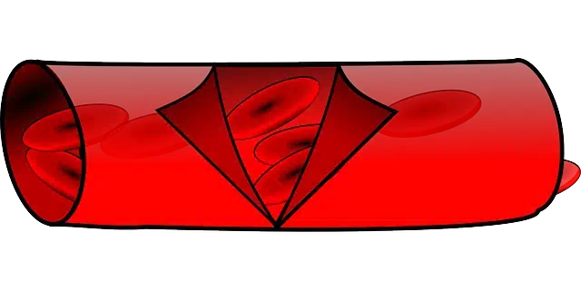 고지혈증 관련사진2