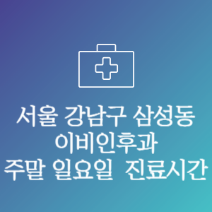서울 강남구 삼성동 이비인후과 주말 일요일 문여는 병원 진료시간