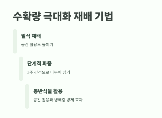 6월에 심는 밭작물 &amp;#124; 늦은 여름까지 수확하는 비법 10