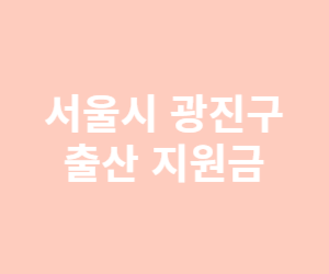 서울시 출산 지원금