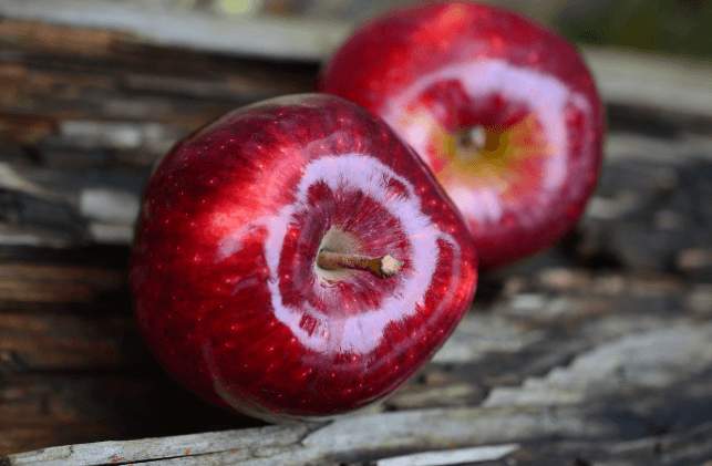 장수 한우랑 사과랑축제