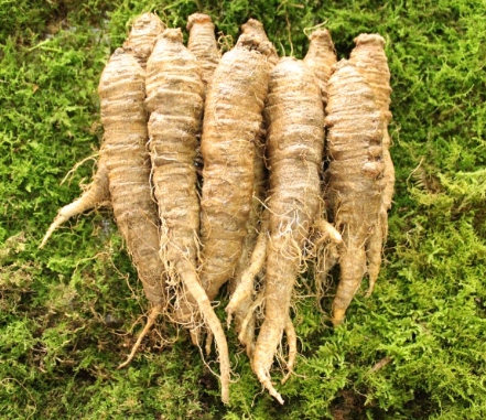 한국의 떡 종류 더덕떡