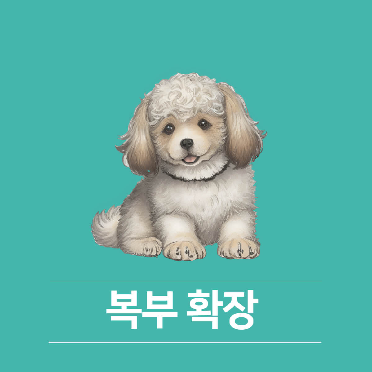 강아지 임신 증상&#44; 임신 기간 및 주의사항