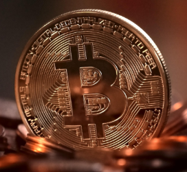 비트코인과 나, MZ세대의 암호화폐 입문기