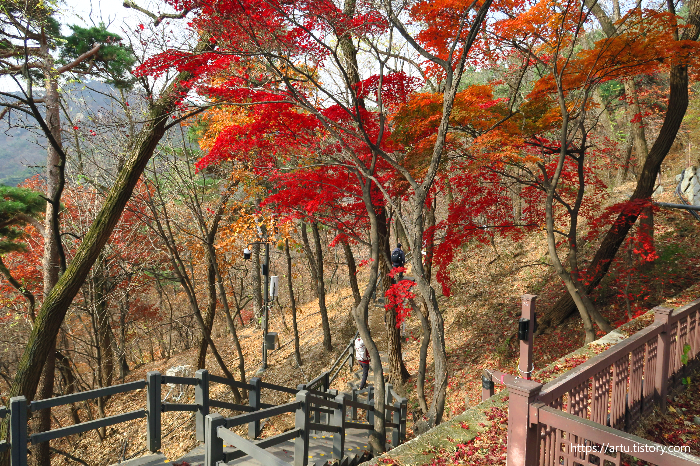 북악산 개방 탐방로 1