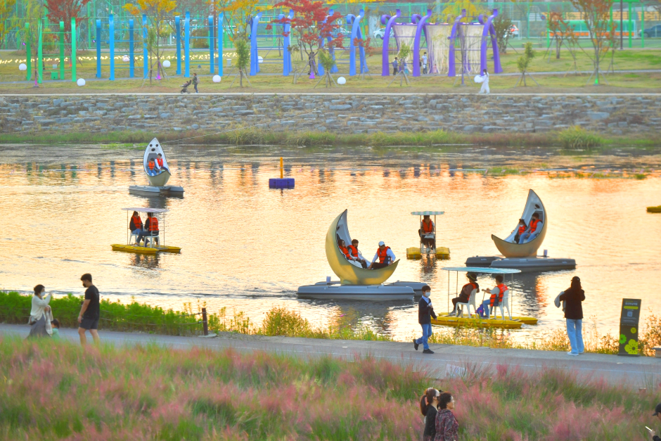 장성 황룡강 길동무 꽃길축제