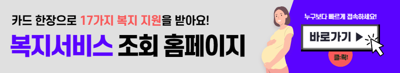 국민행복카드 바우처 사용처&#44; 기저귀 분유 지원 (최대 160만원)