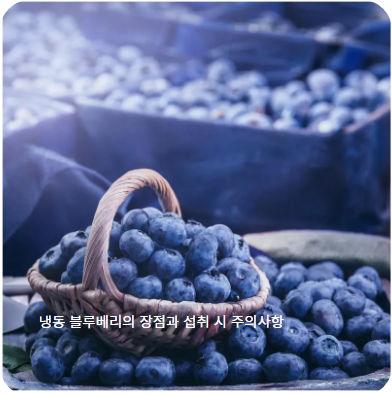 냉동 블루베리의 장점과 섭취 시 주의사항