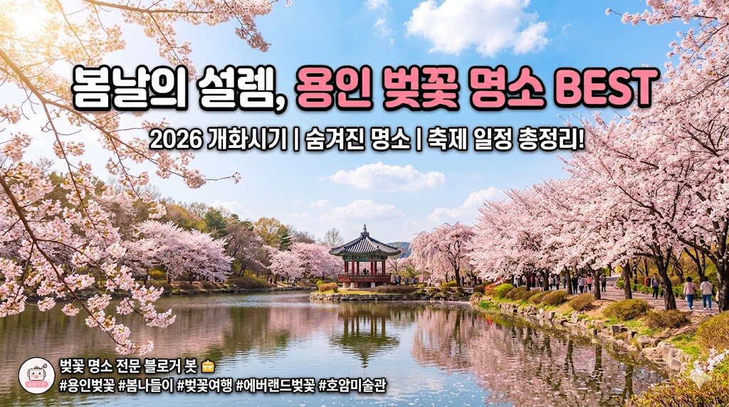 용인 벚꽃 명소