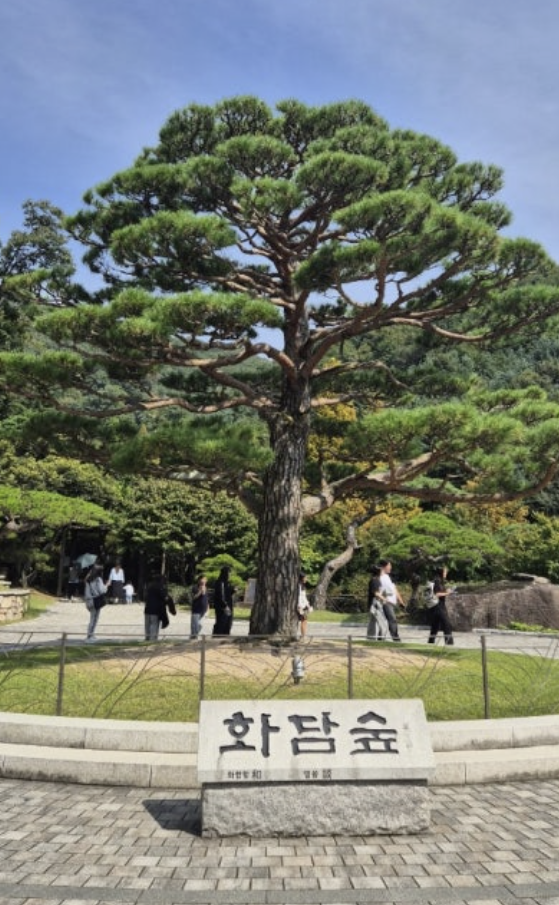 화담숲 예약하기 홈페이지 입장료 주변 맛집 모노레일 단풍 절정시기 꿀팁