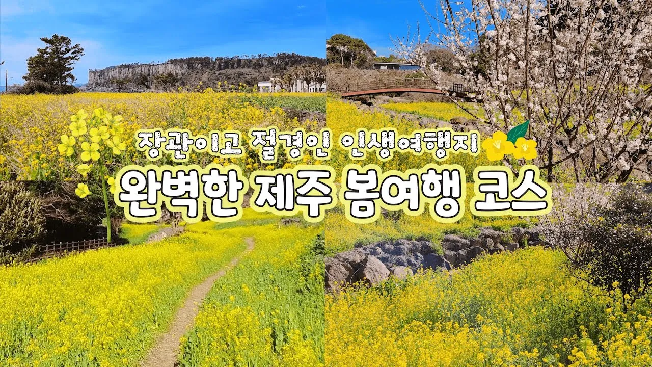봄 국내 여행지 베스트 10 추천 맛집_3