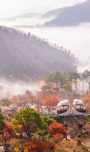 화담숲 예약 방법부터 운영시간까지! 방문 전 꼭 알아야 할 정보
