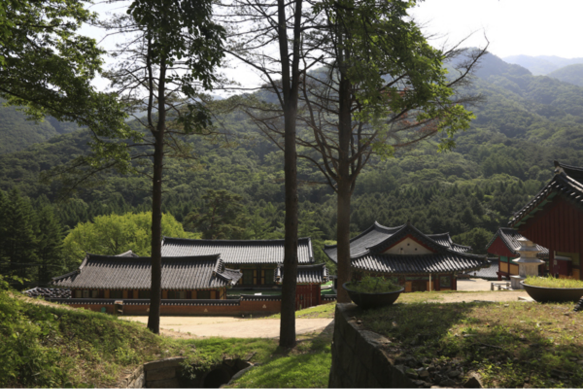 구룡사-전경
